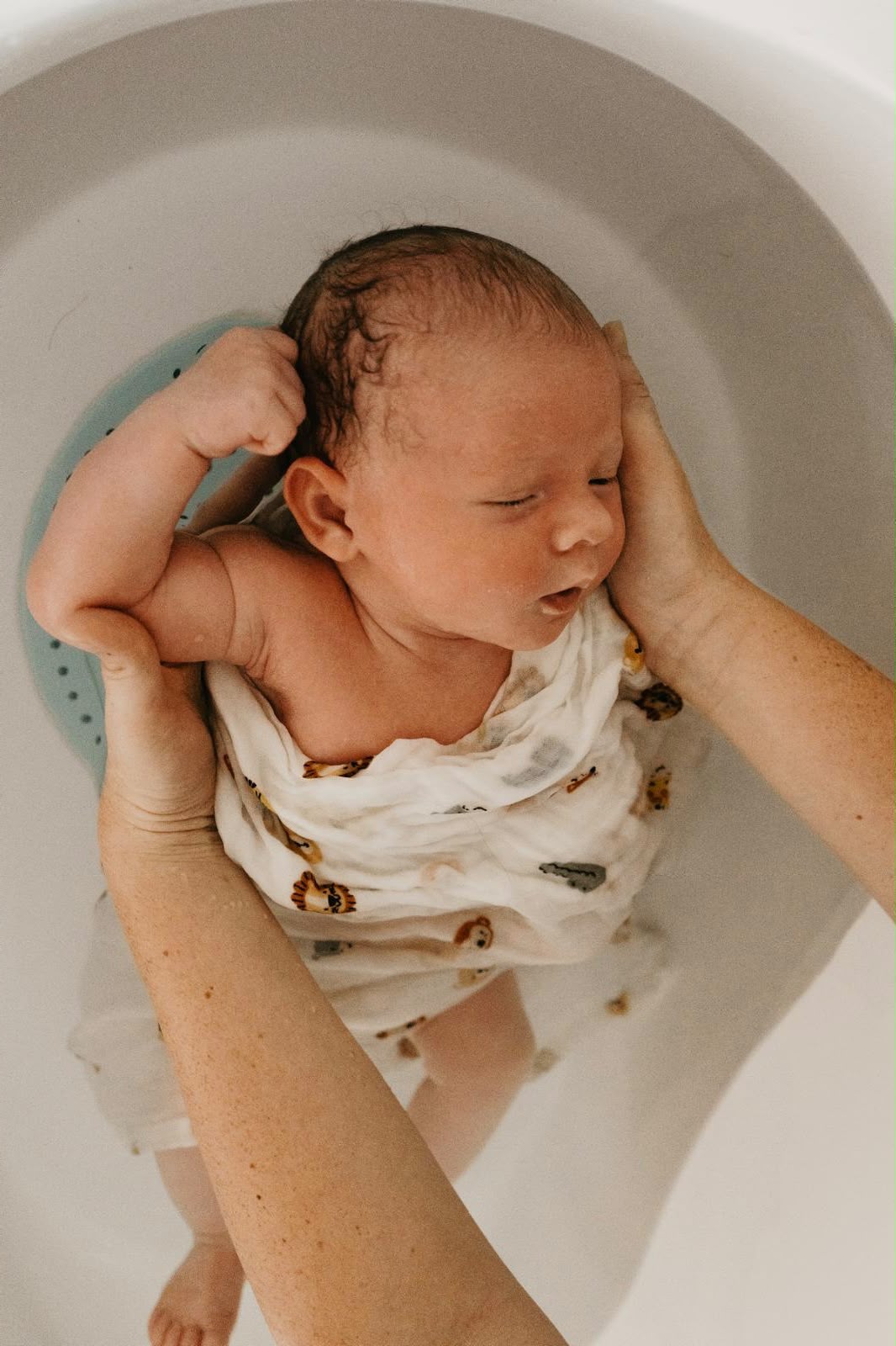 Nouveau-né tenu dans les bras pendant le bain, poing levé